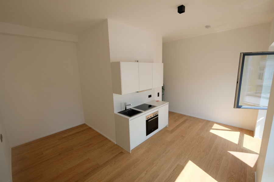 Beispiel Küche - Modernes Apartment in City-Lage